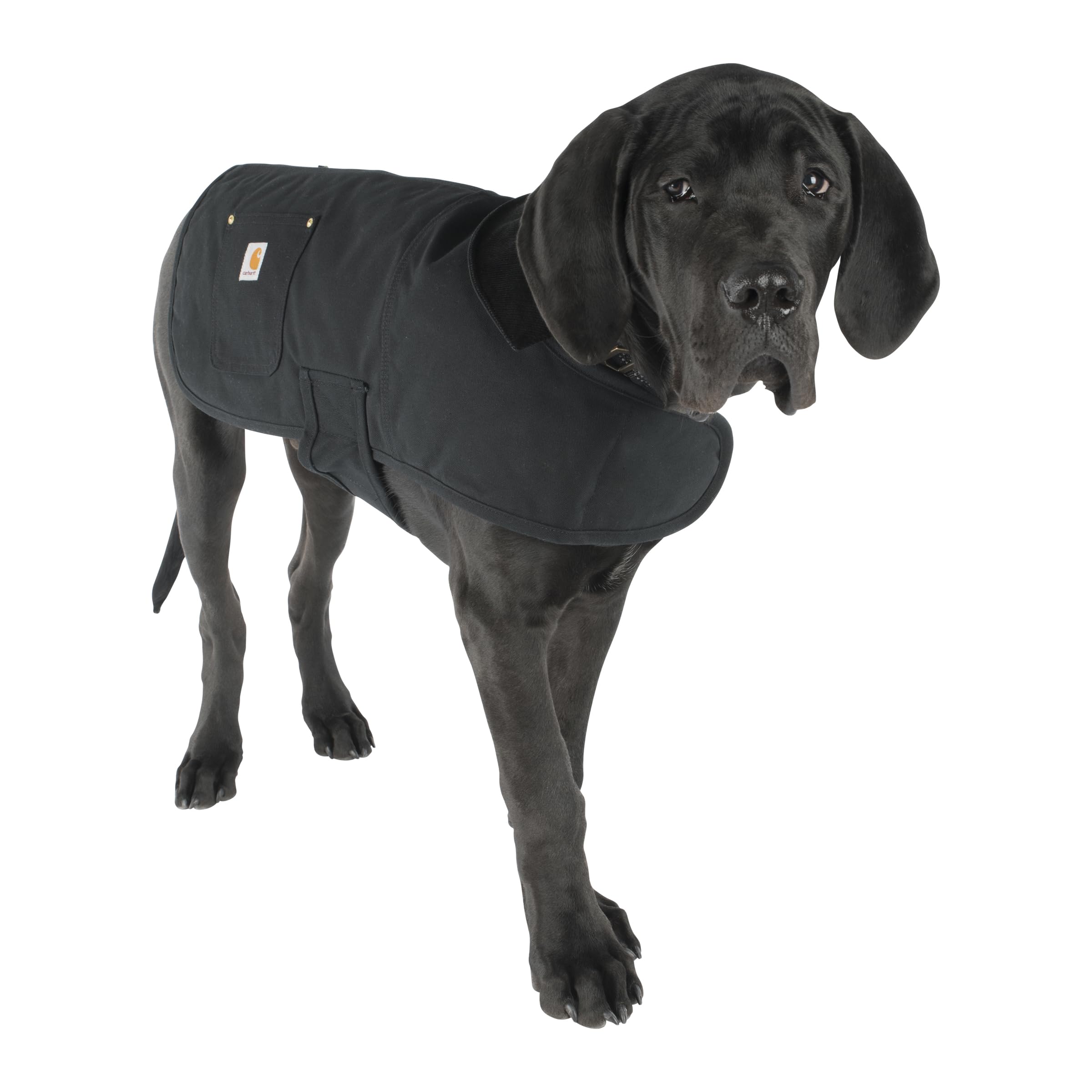 Carhartt recubrimiento repelente al agua (DWR) para mantener al perro seco.