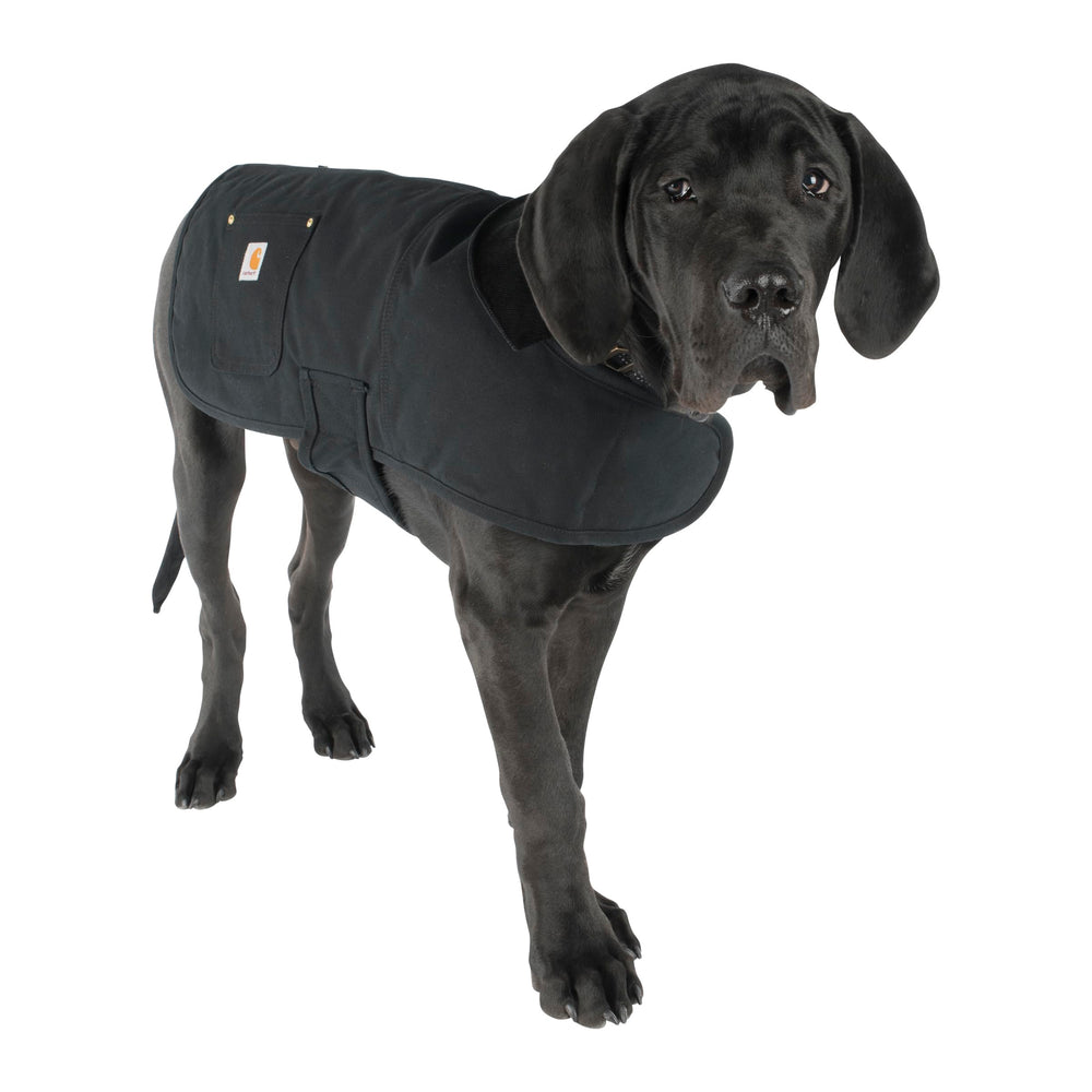 Carhartt recubrimiento repelente al agua (DWR) para mantener al perro seco.