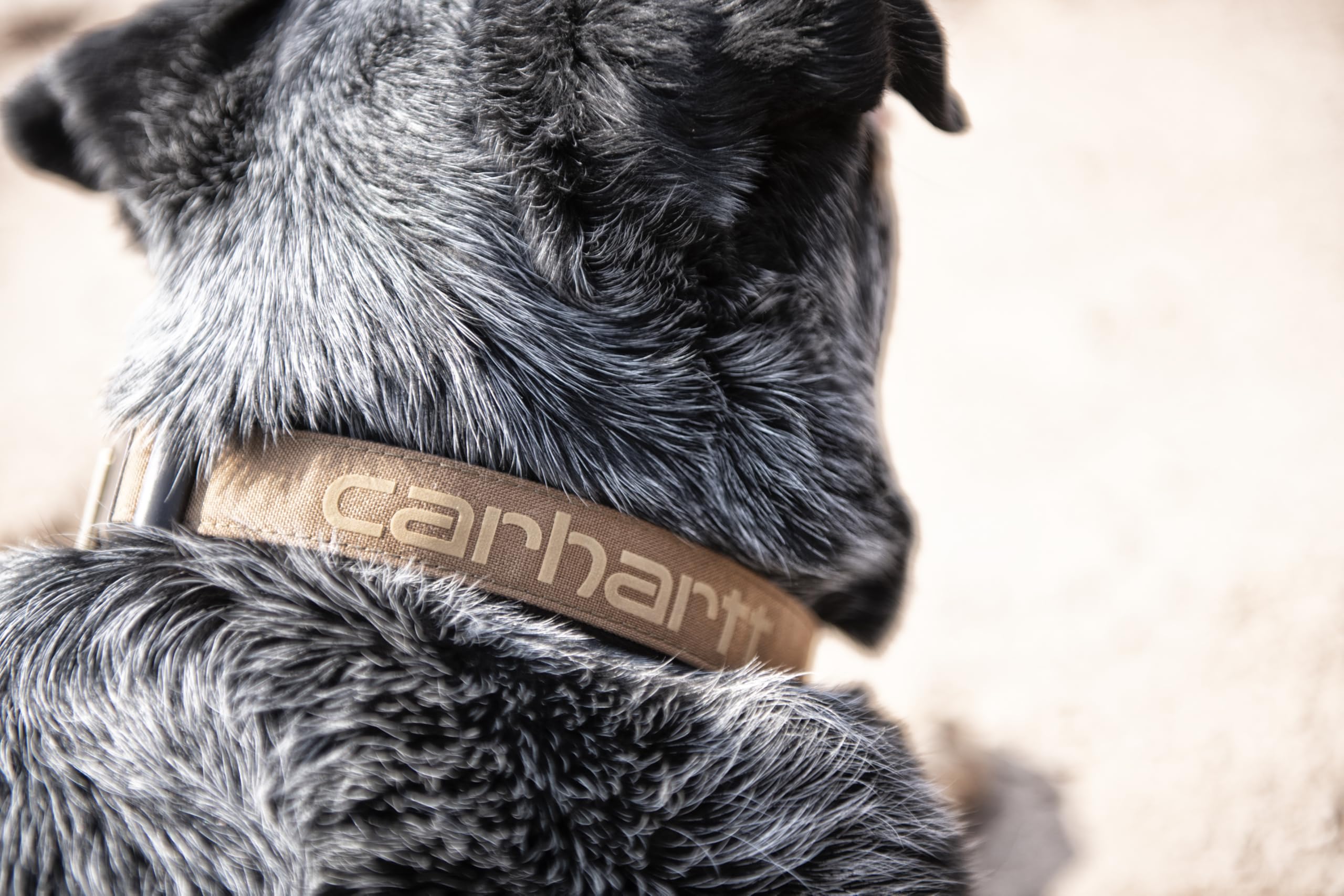 ideal para uso diario al aire libre con Carhartt