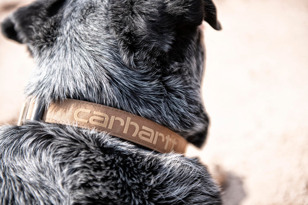 ideal para uso diario al aire libre con Carhartt