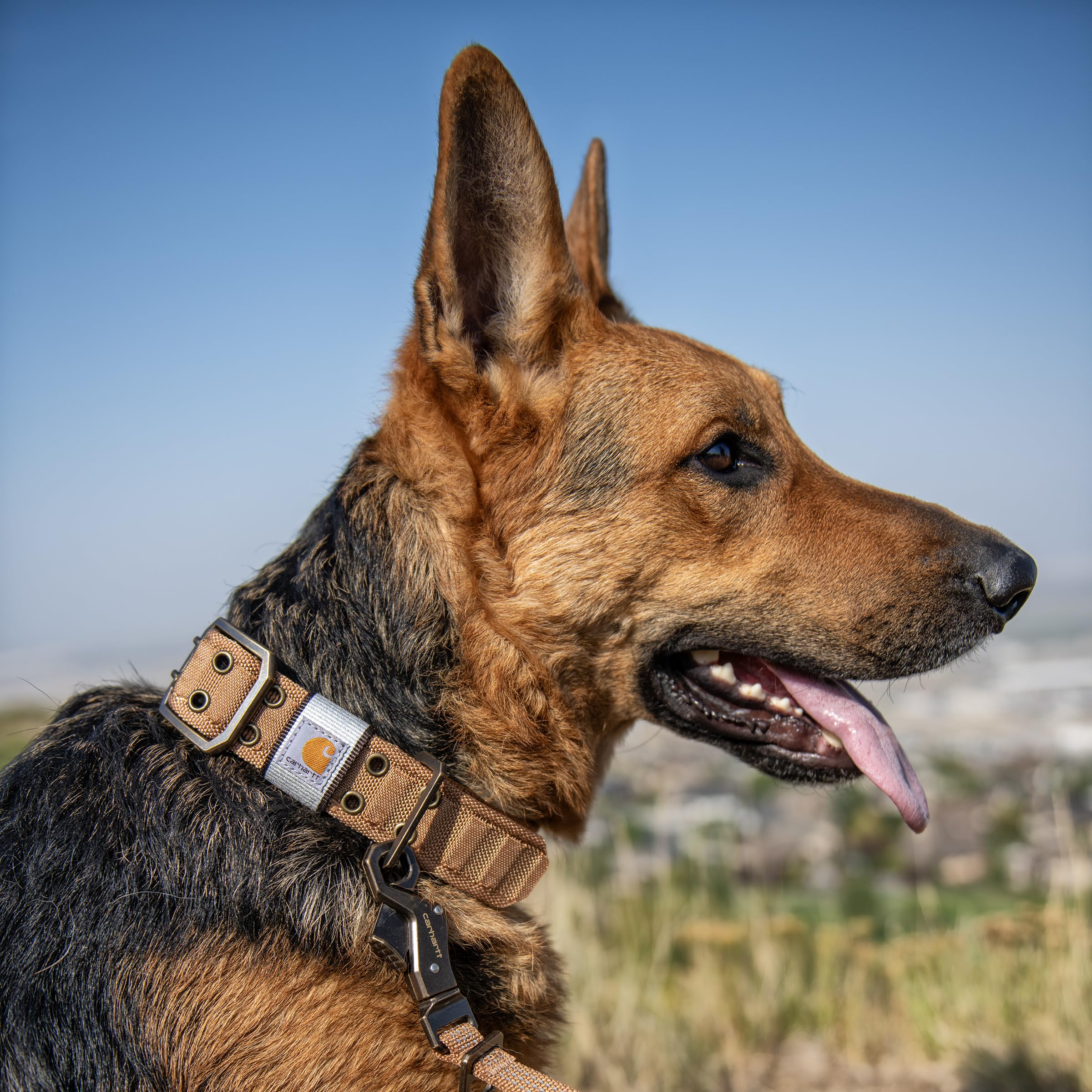 Collar Carhartt para perro, resistente para uso diario y exteriores.