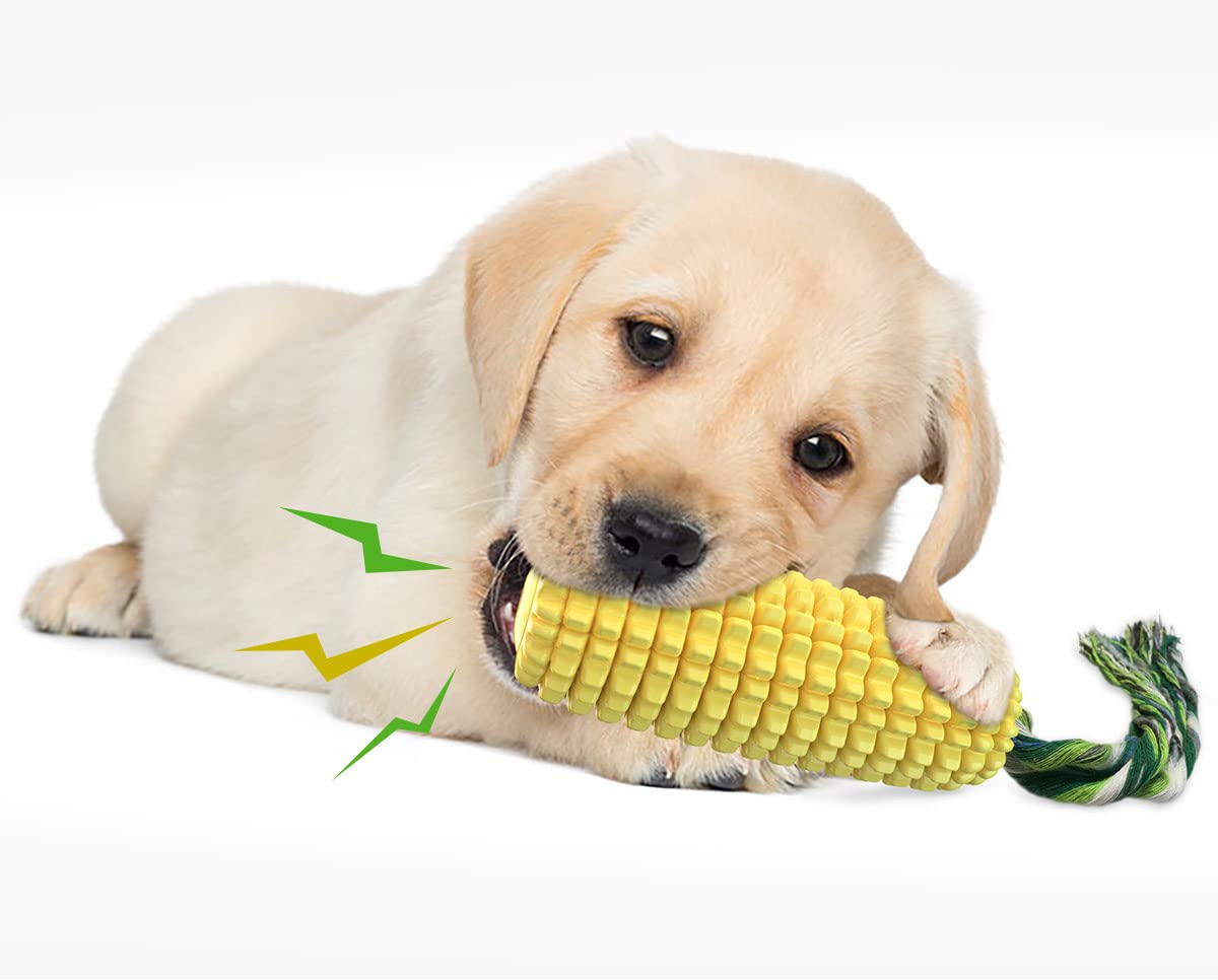 Carllg Juguete apto para cachorros y perros adultos para juego prolongado.