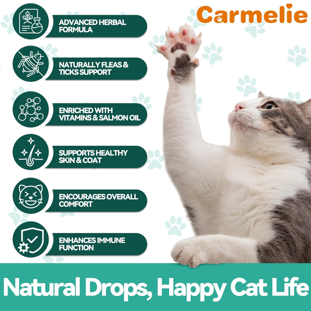 Carmelie: para gatitos y gatos mayores, uso versátil