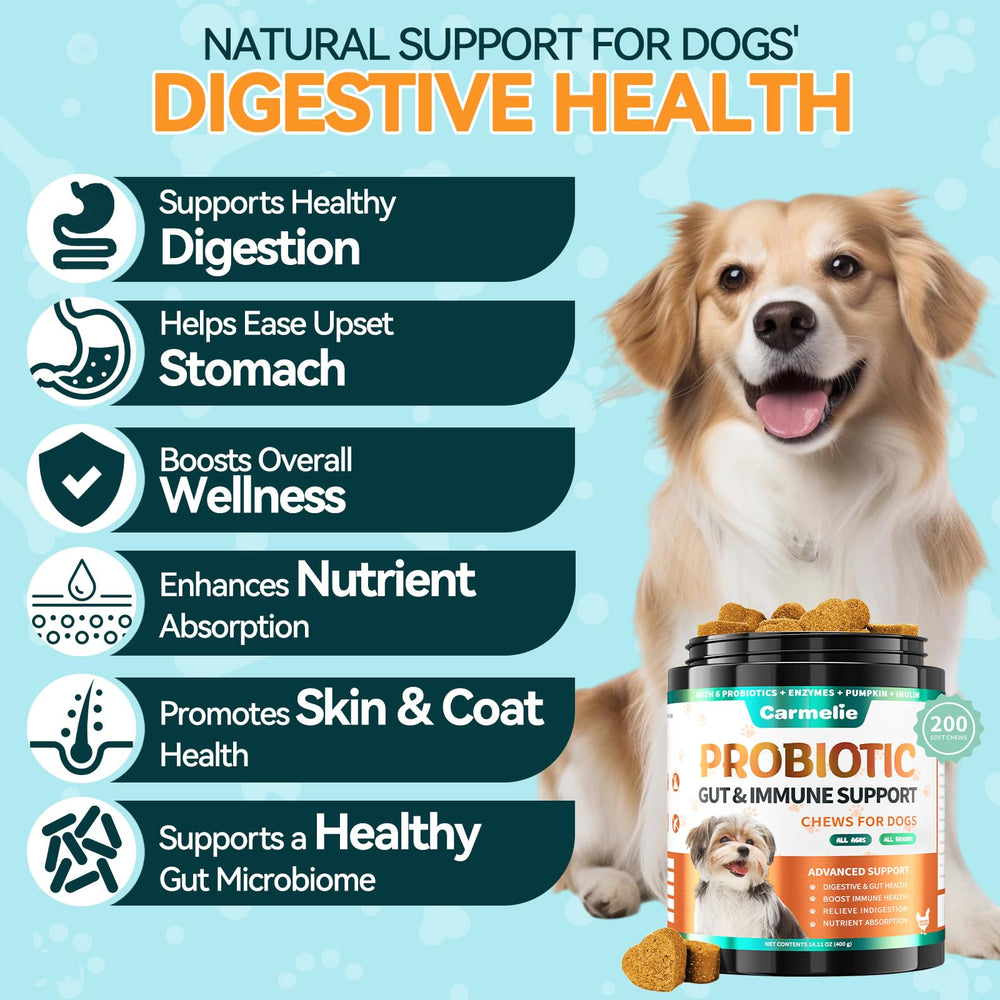 Carmelie probióticos para perros, sabor a pollo, masticables fáciles de dar.