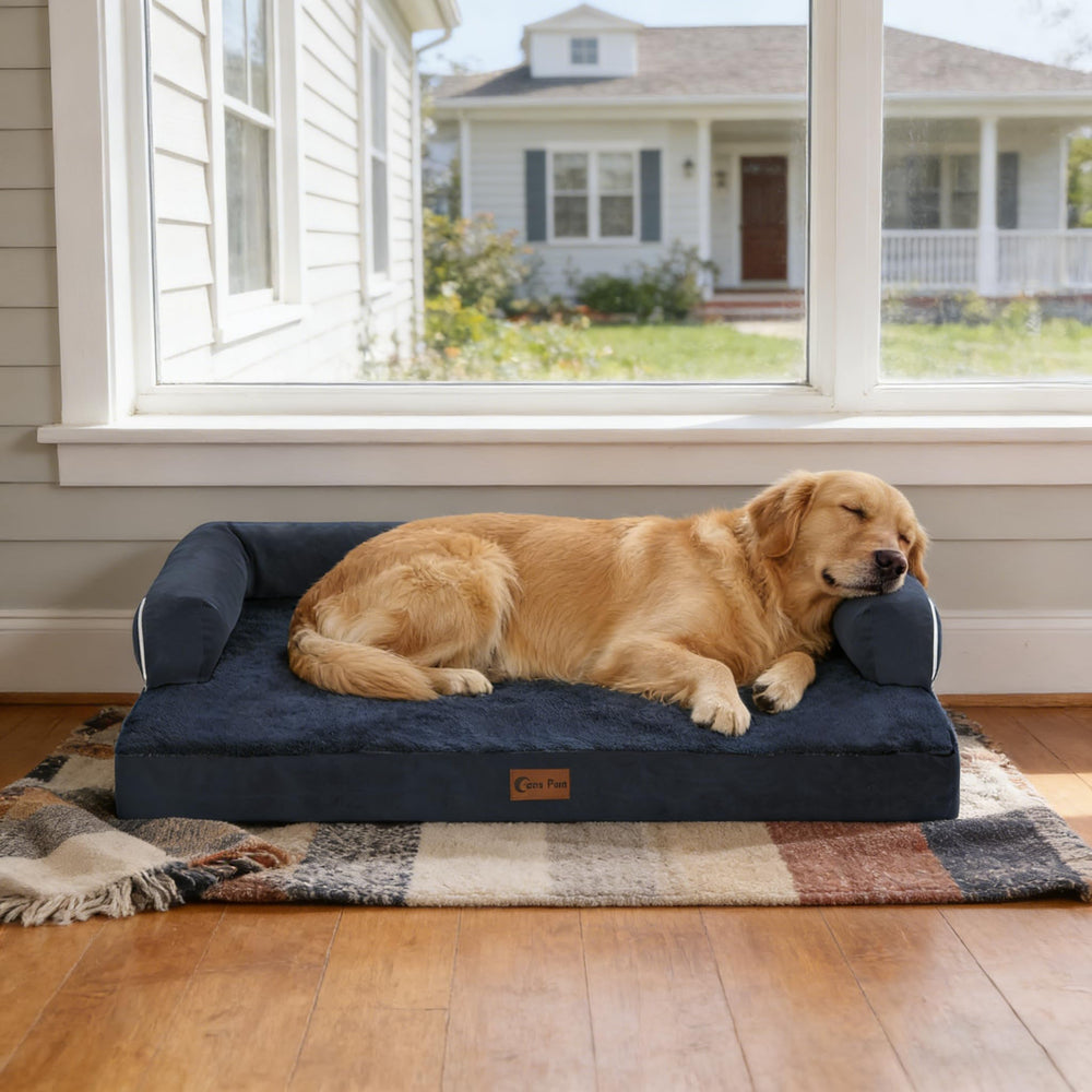 Casa Paw ambiente hogareño, cama azul marino, se integra con la decoración.