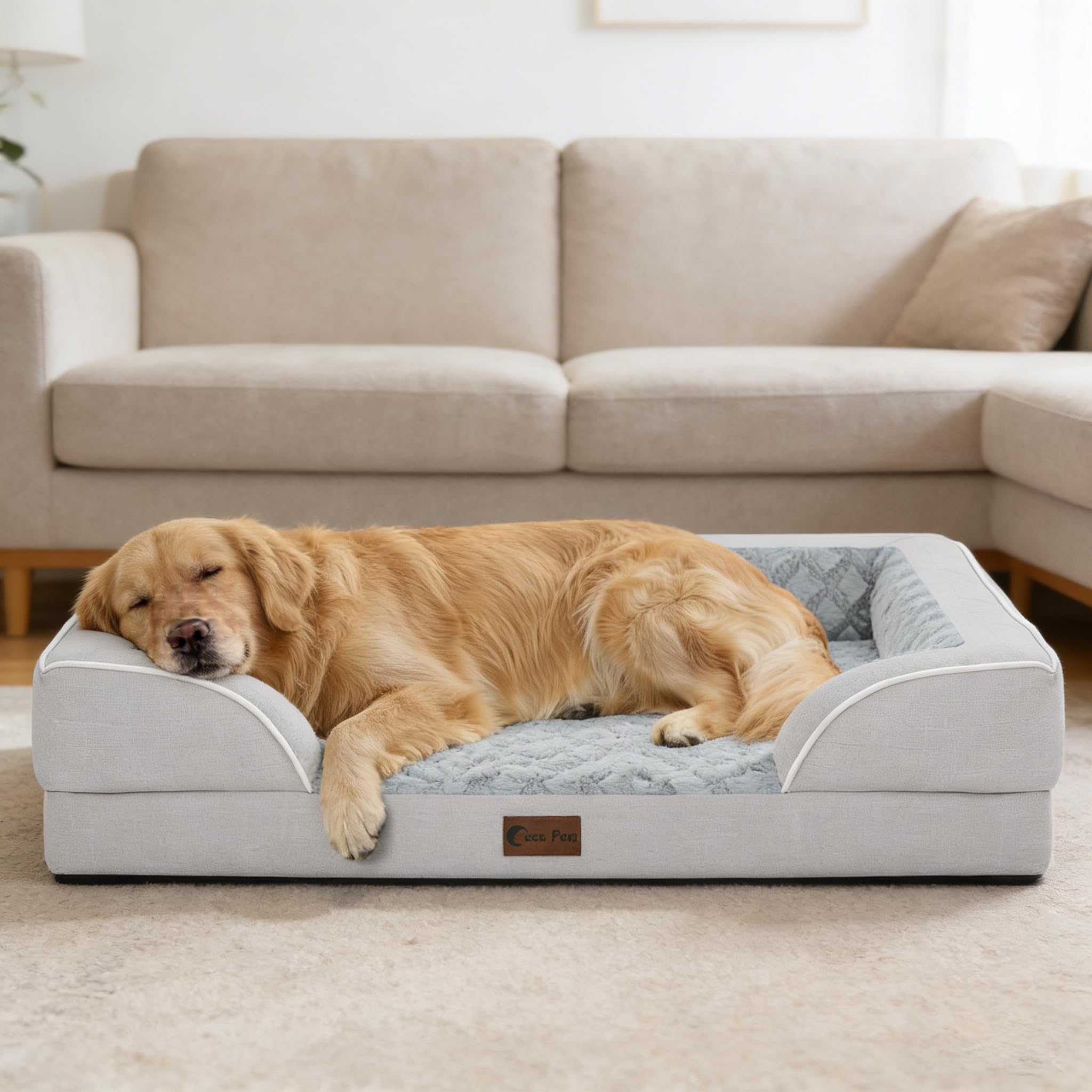 Casa Paw cama ortopédica extragrande, uso diario en casa con mascota grande.