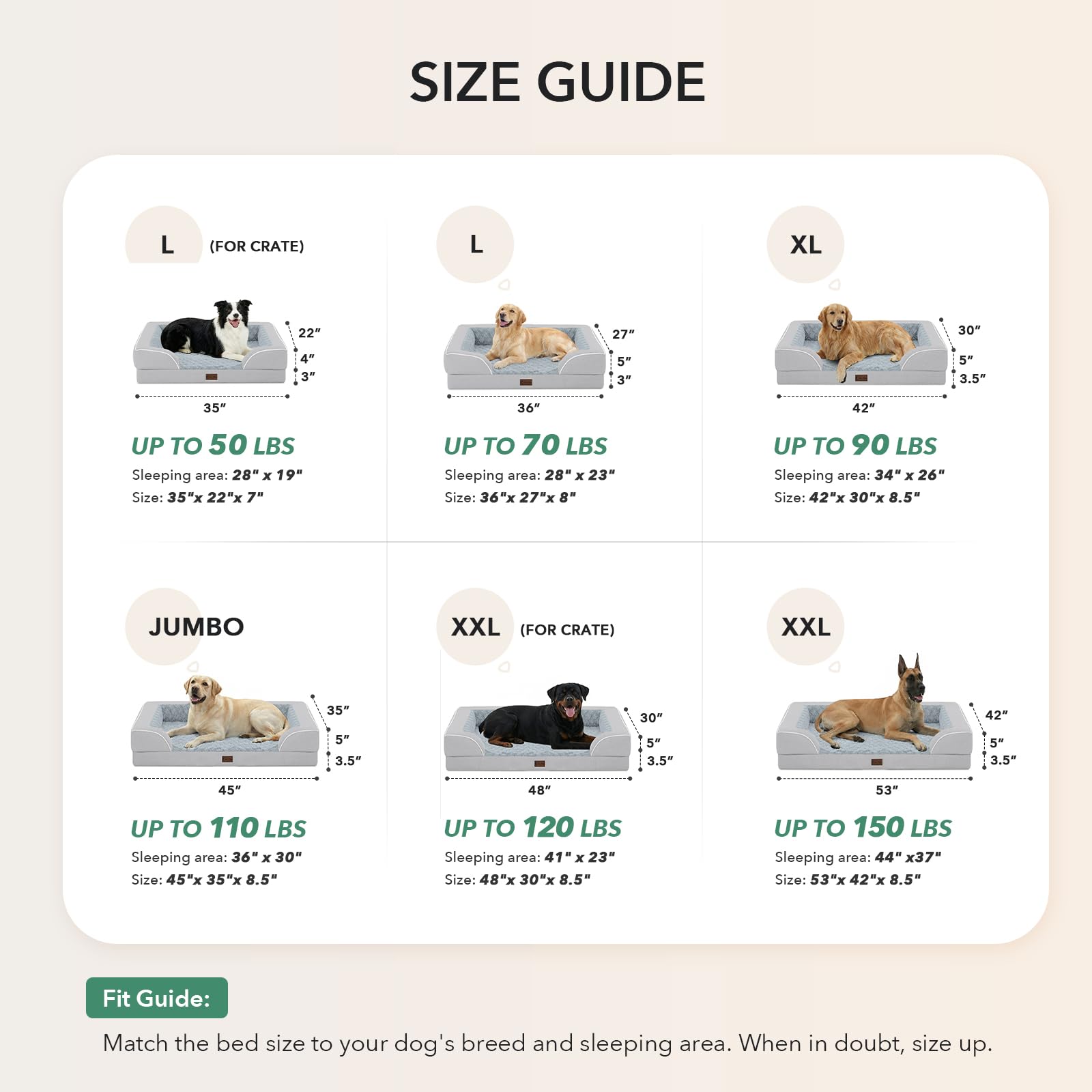 Casa Paw cama ortopédica extragrande, funda lavable con cremallera resistente.