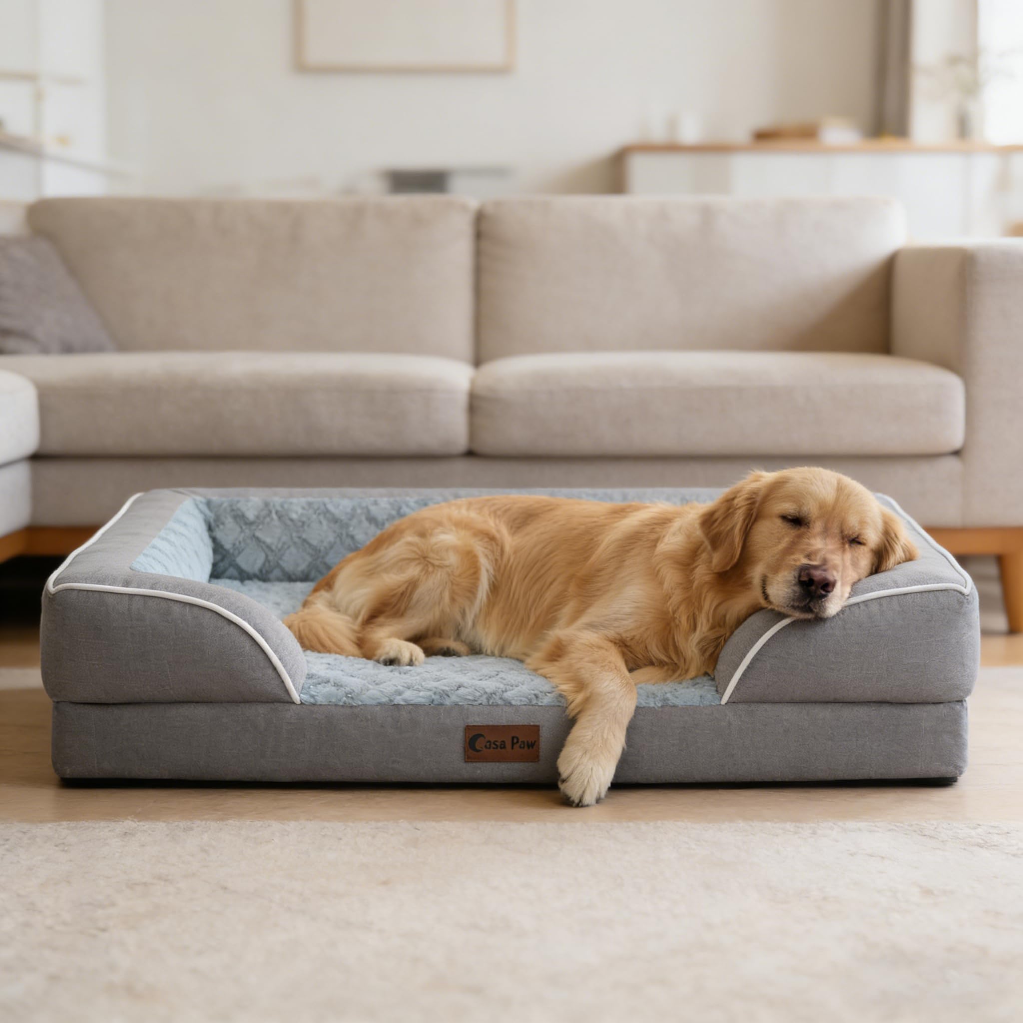 Casa Paw estilo gris elegante para uso en casa