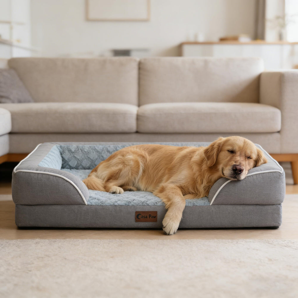 Casa Paw estilo gris elegante para uso en casa