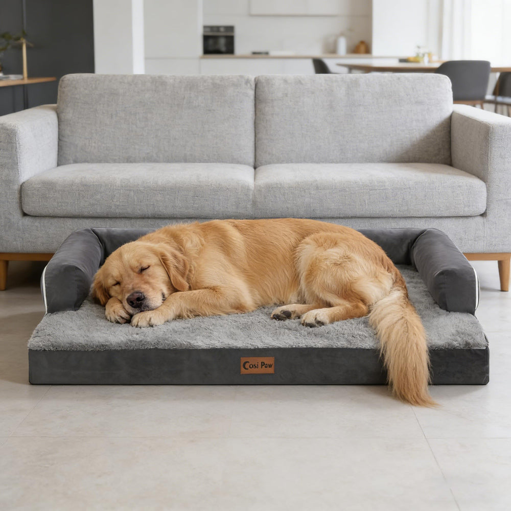 Casa Paw acabado gris oscuro para combinar con la decoración