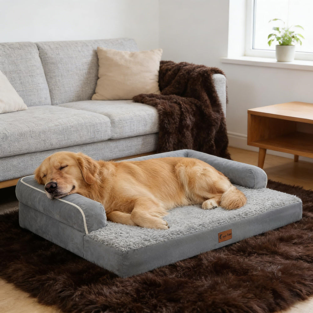 Casa Paw cama 53x42 pulgadas encaja en espacios amplios del hogar.