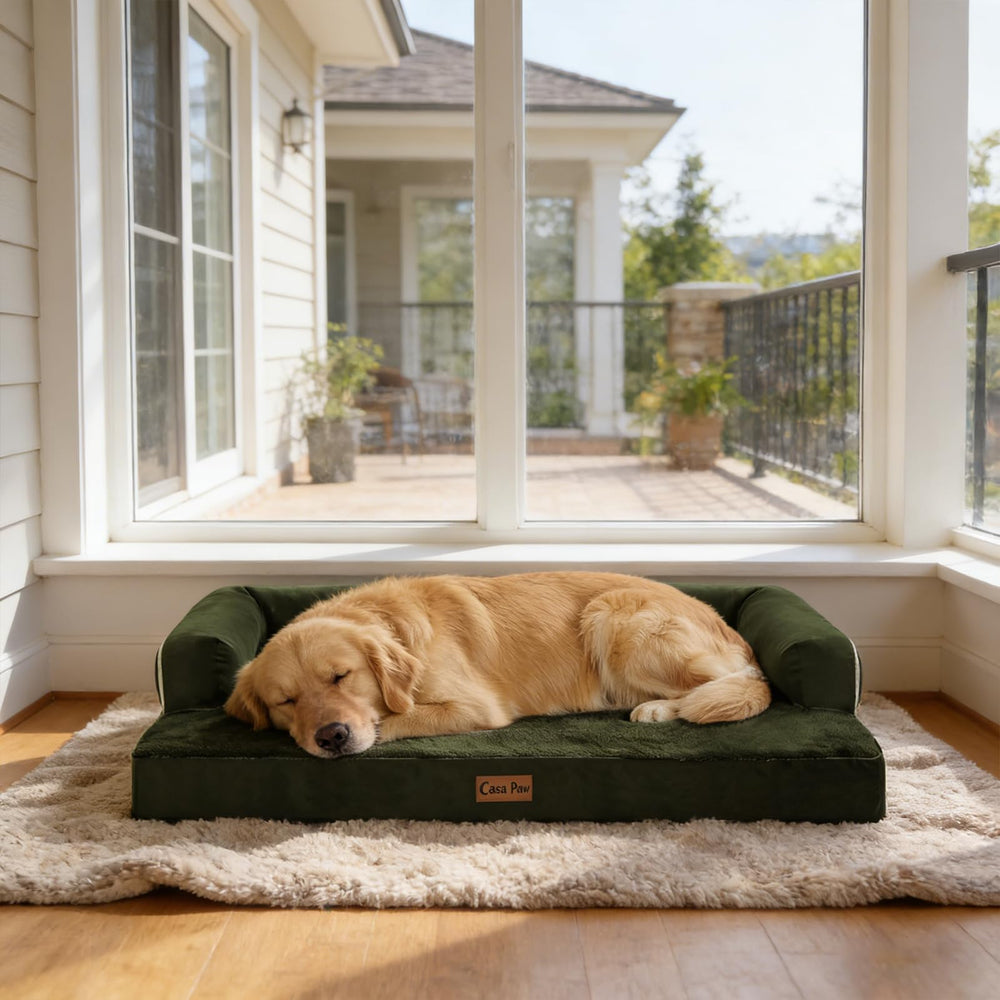 Casa Paw expansión natural tras desempaquetar para confort inmediato.