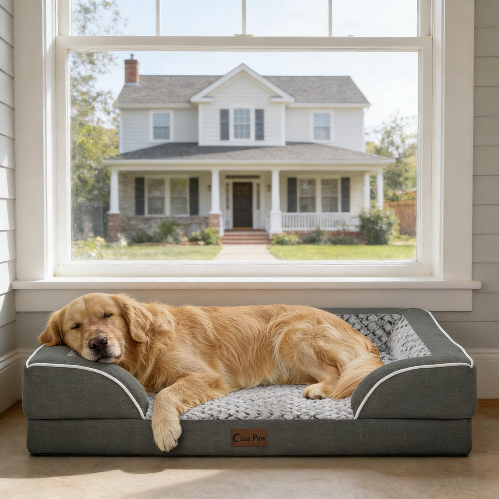 Tamaño extra grande de Casa Paw para perros hasta 80 libras.