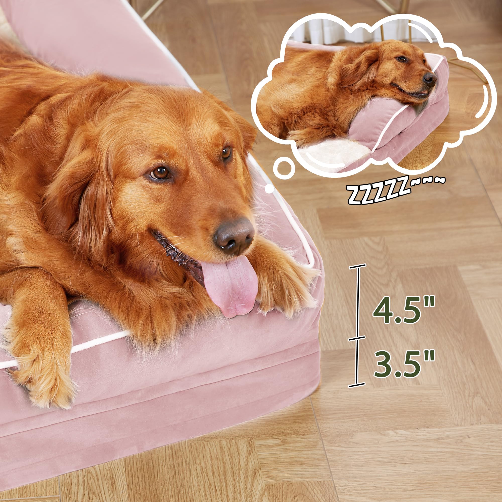 Casa Paw tamaños grandes ofrecen opciones de color para encajar en tu hogar.