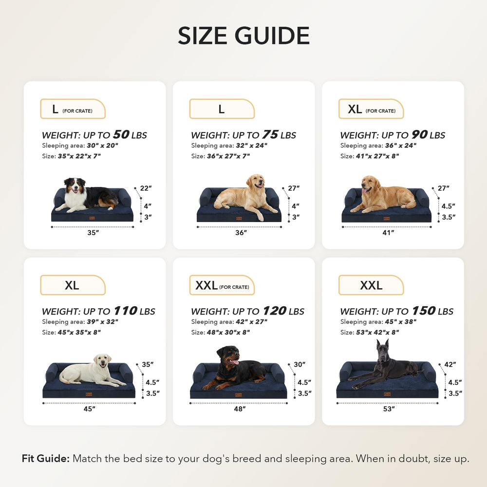 Casa Paw disponible en varias tallas y colores para tu hogar