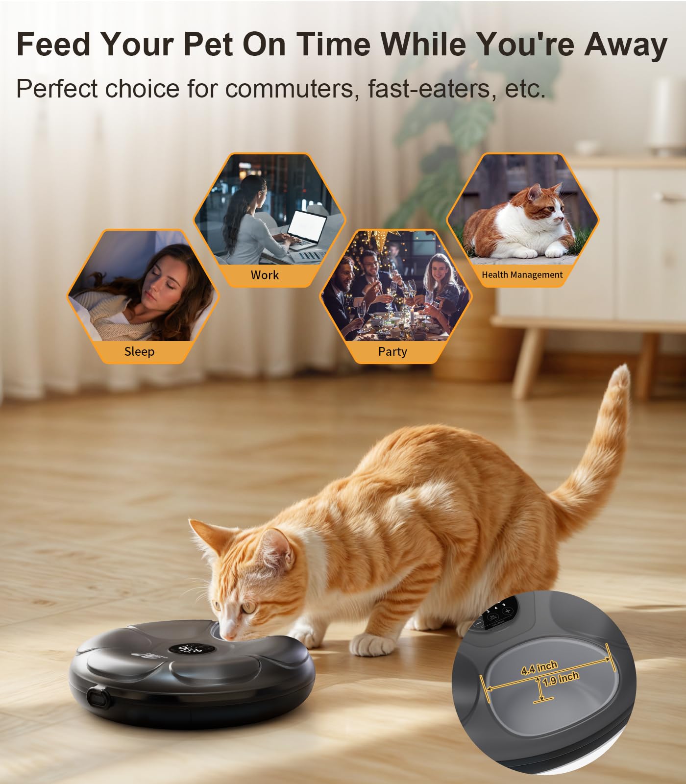 Casfuy alimentador automático para gatos con 6 comidas diarias programables.