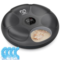 Casfuy alimentador automático para gatos con pantalla LCD que facilita programar horarios de comida.