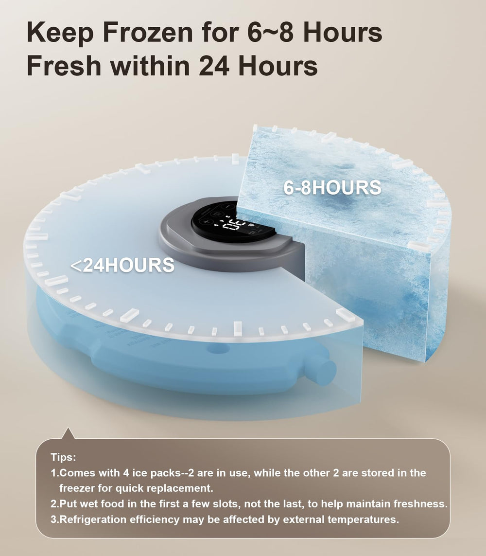 Casfuy alimentador automático para gatos con 4 packs de hielo para frescura.