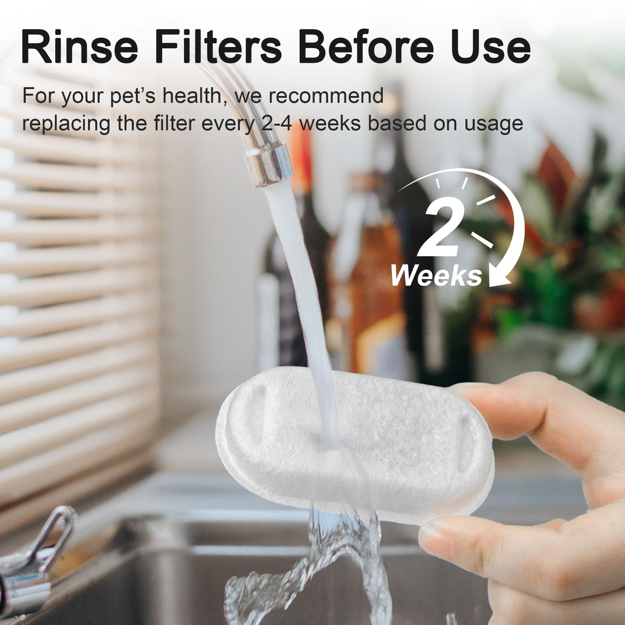 Casfuy filtros mejorando la hidratación y agua limpia para mascotas.
