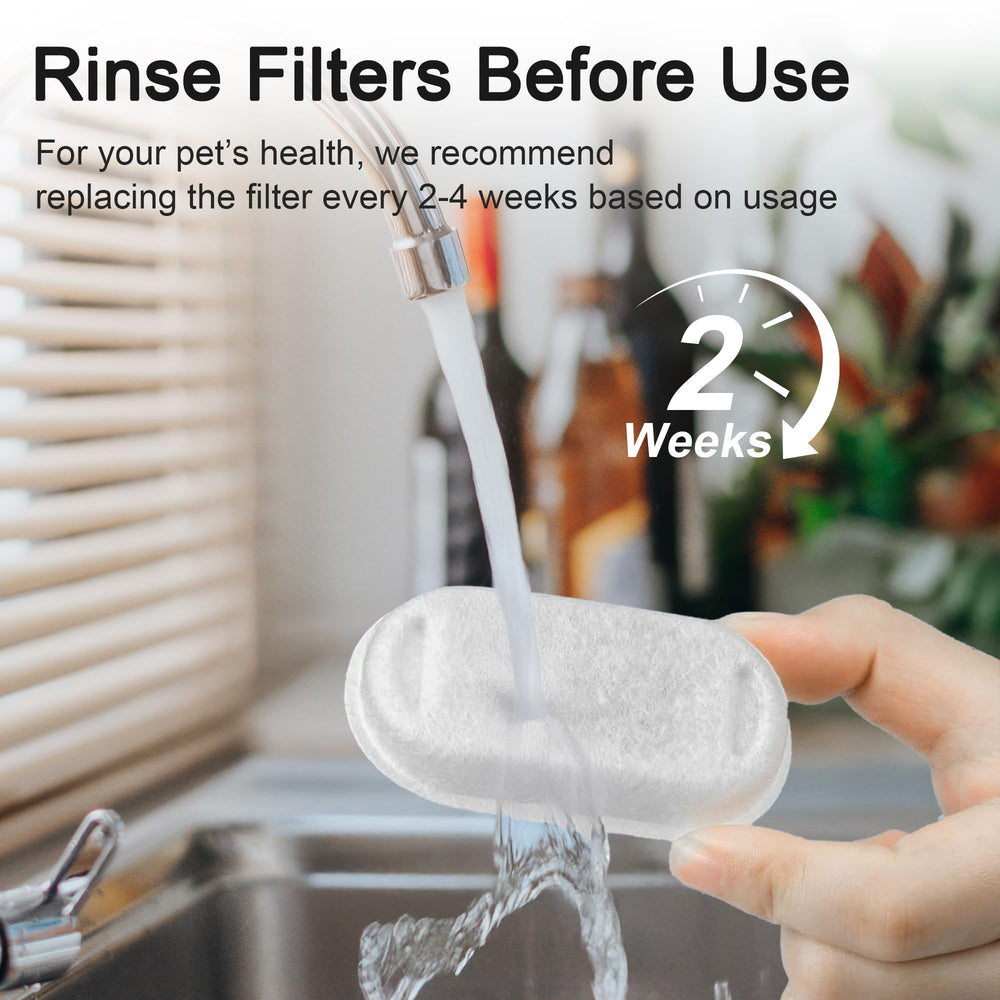 Casfuy filtros mejorando la hidratación y agua limpia para mascotas.