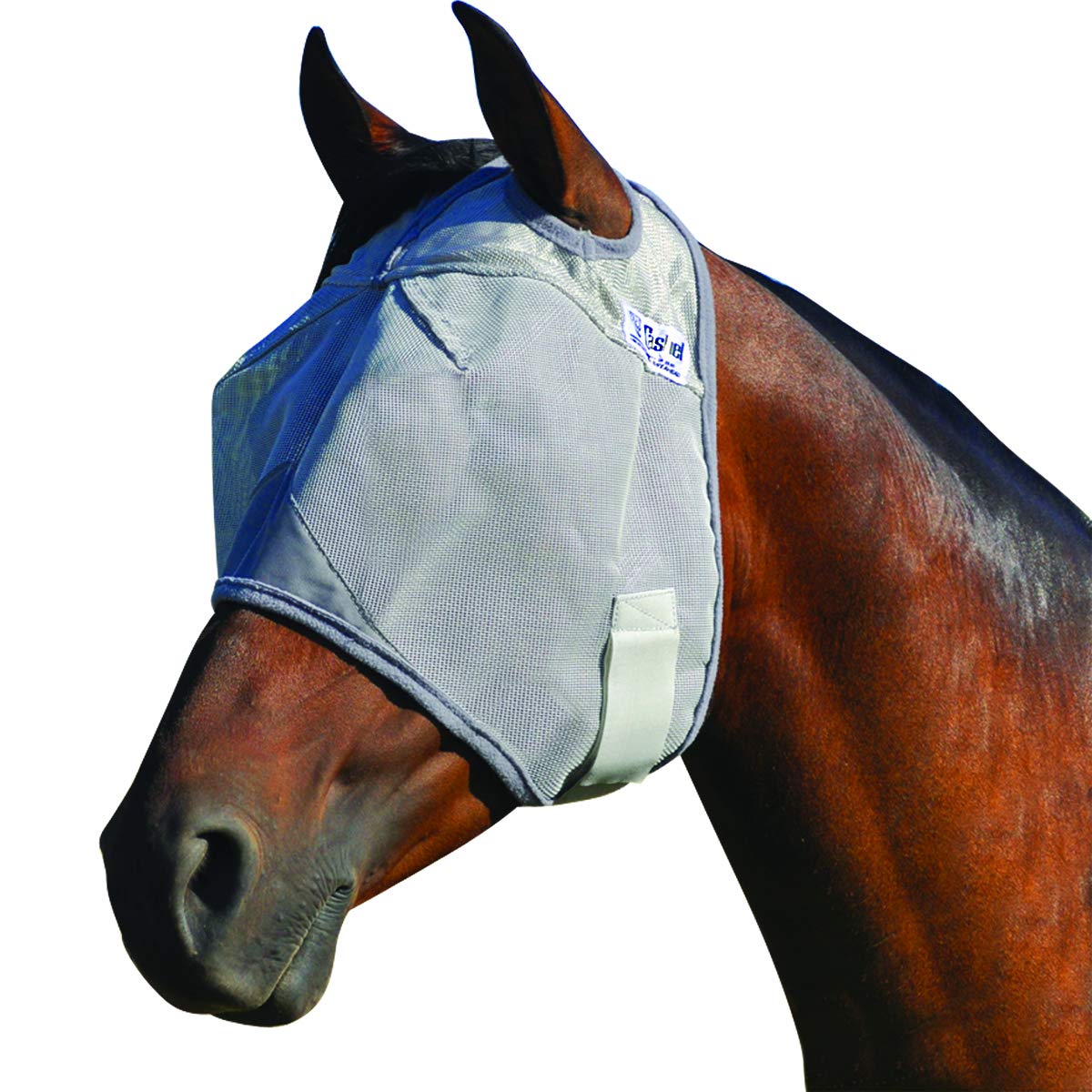 Cashel Crusader malla antimoscas para potros protege ojos y frente.