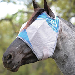 Cashel Crusader azul, talla yearling: protección ocular y visión clara.