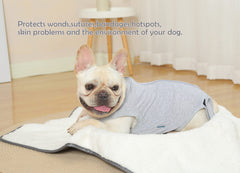 Caslfuca diseño ergonómico en traje de recuperación canino.