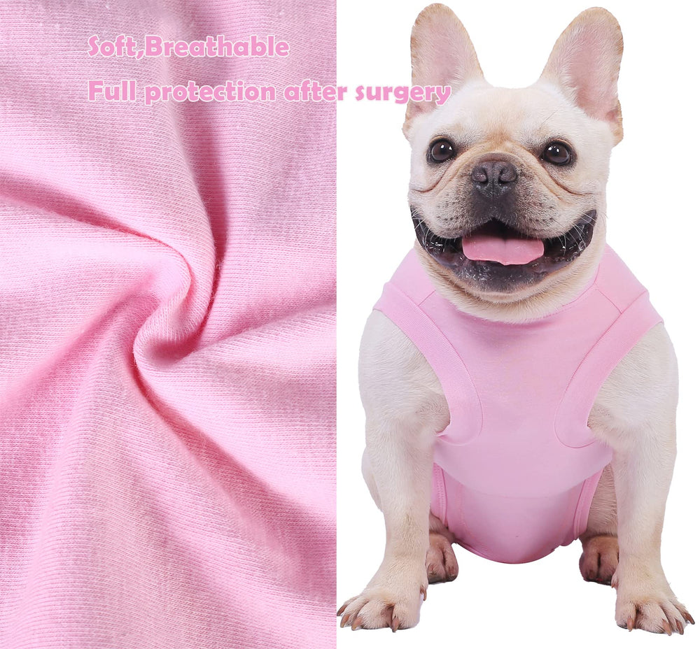 Caslfuca diseño sin collar evita estrés y facilita juego