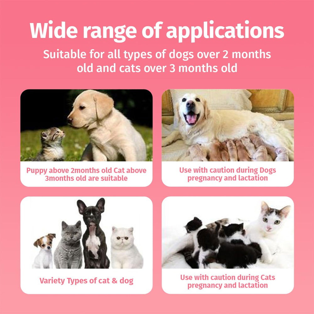 Cassiel pet aplicación fácil: rocía con cobertura uniforme