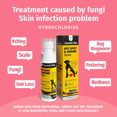Cassiel pet spray patitas sanas: uso seguro en patas durante paseos