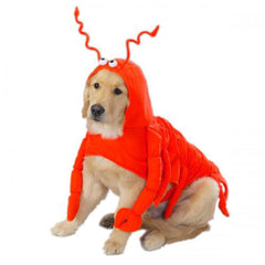 Disfraz langosta Casual Canine con patas, ideal para fiestas y sesiones de fotos.