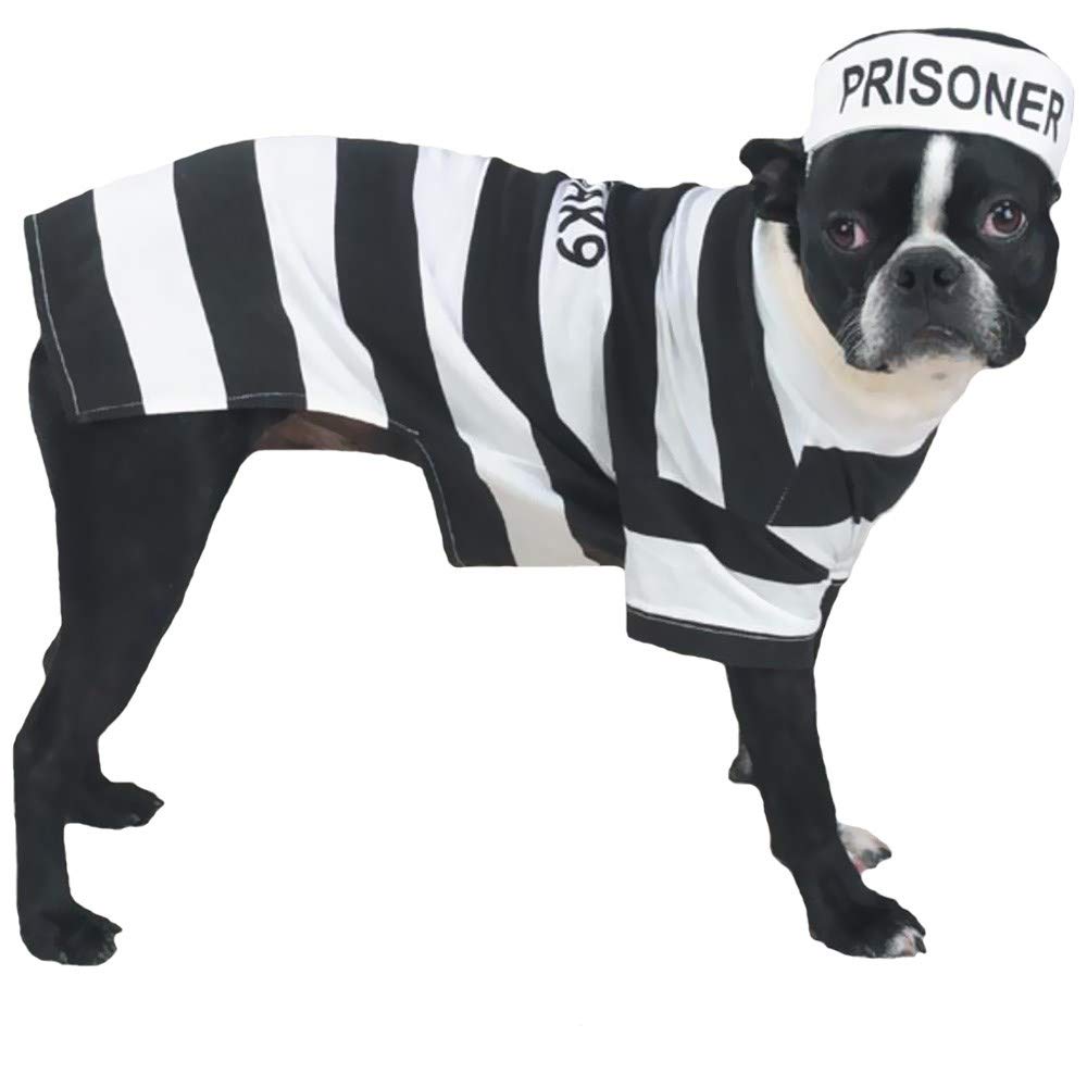 Disfraz prisionero de Casual Canine para perro, listo para Halloween.