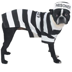 Disfraz prisionero de Casual Canine para perro, listo para Halloween.
