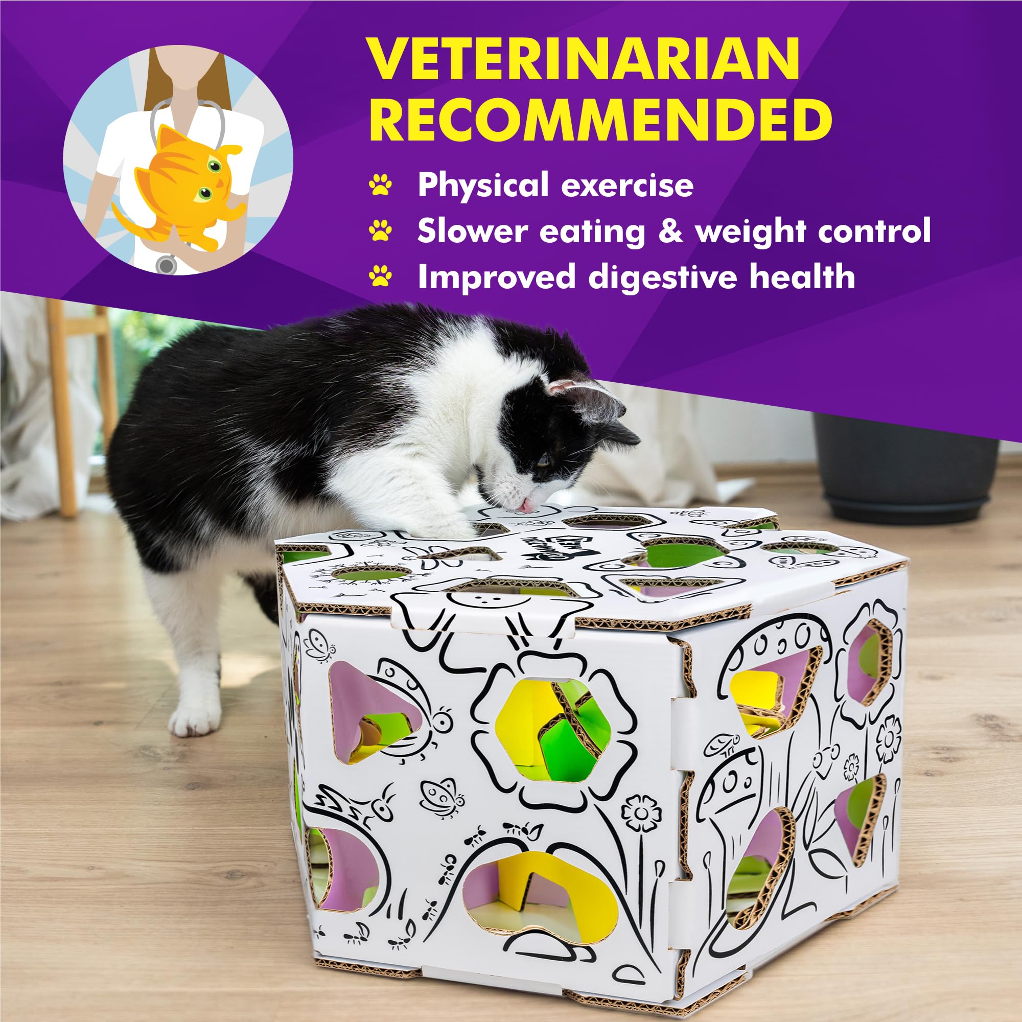 Cat Amazing HEX: múltiples zonas de recompensa para aprendizaje lúdico.