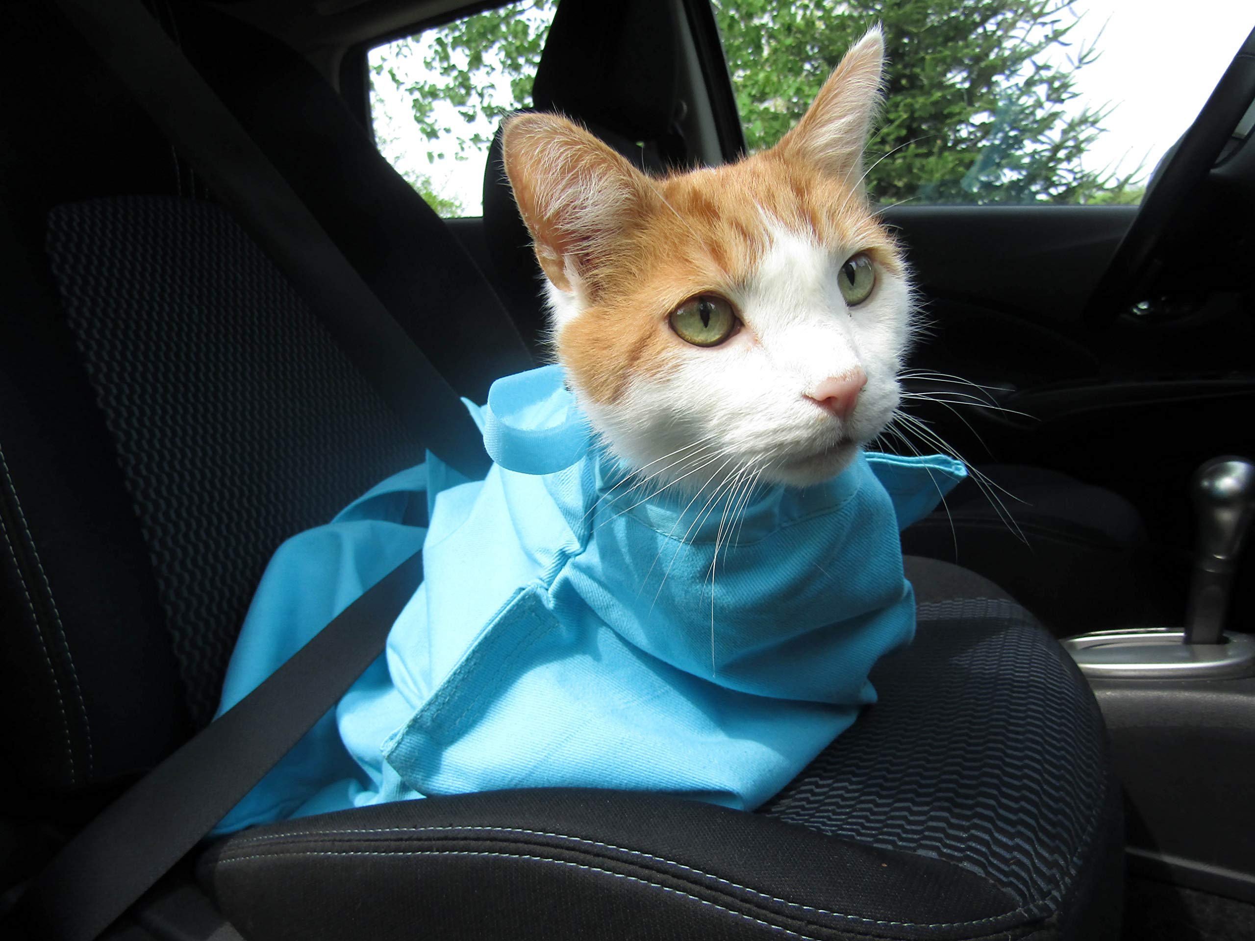Cat-in-the-bag Cozy Comfort Carrier, acceso frontal y trasero para grooming