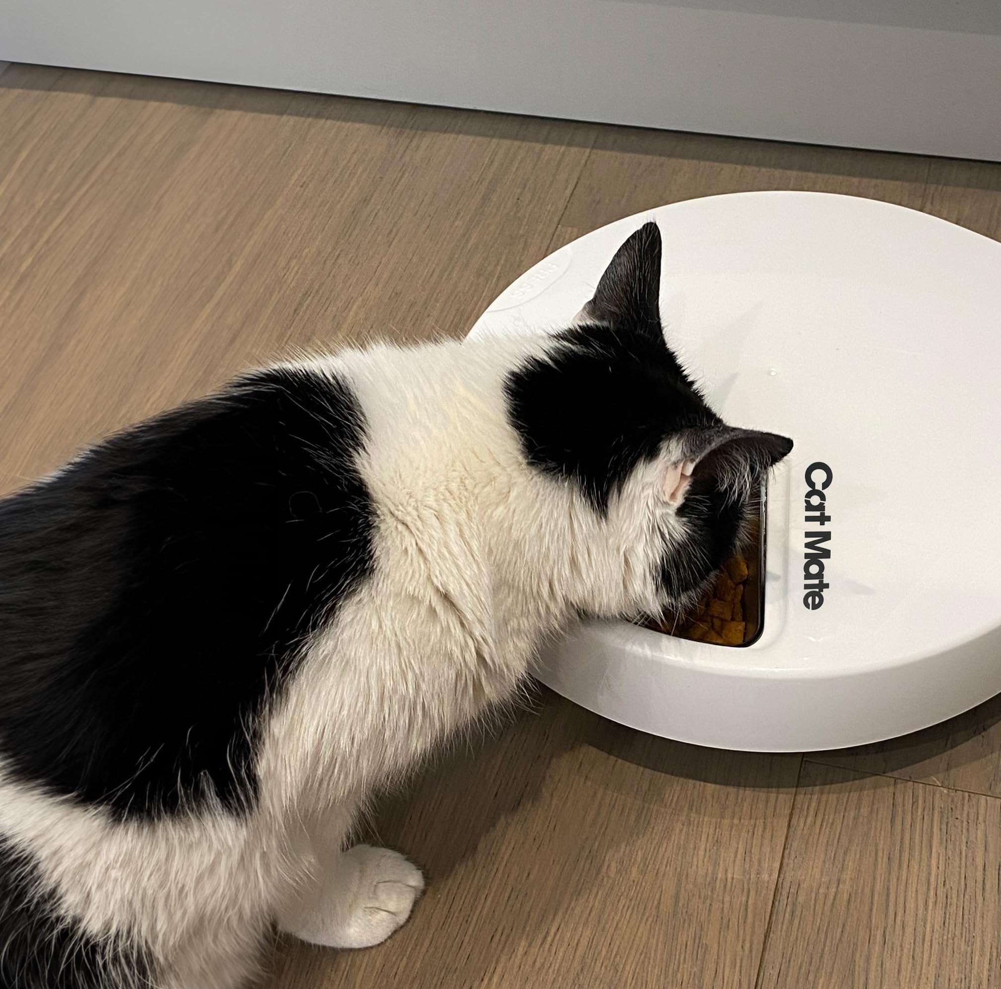 Cat Mate apto lavavajillas, limpieza rápida y fácil.