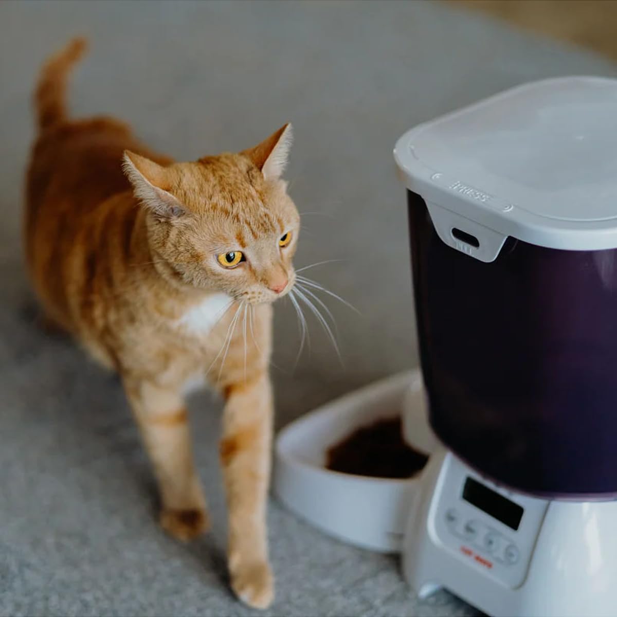 Cat Mate C3000: ajuste programable para comidas diarias a su ritmo.