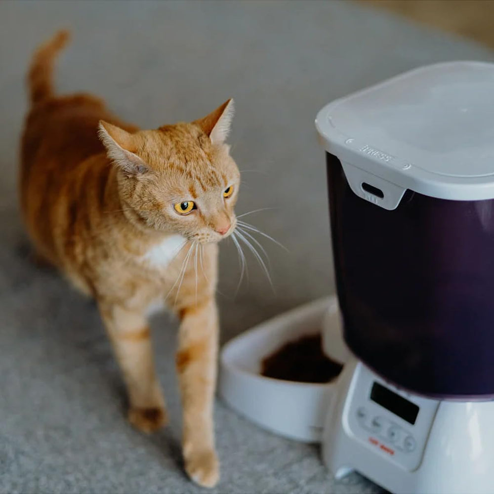 Cat Mate C3000: ajuste programable para comidas diarias a su ritmo.