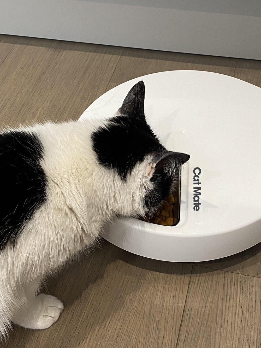 Cat Mate C500, cuenco y tapa aptos para lavavaillas.
