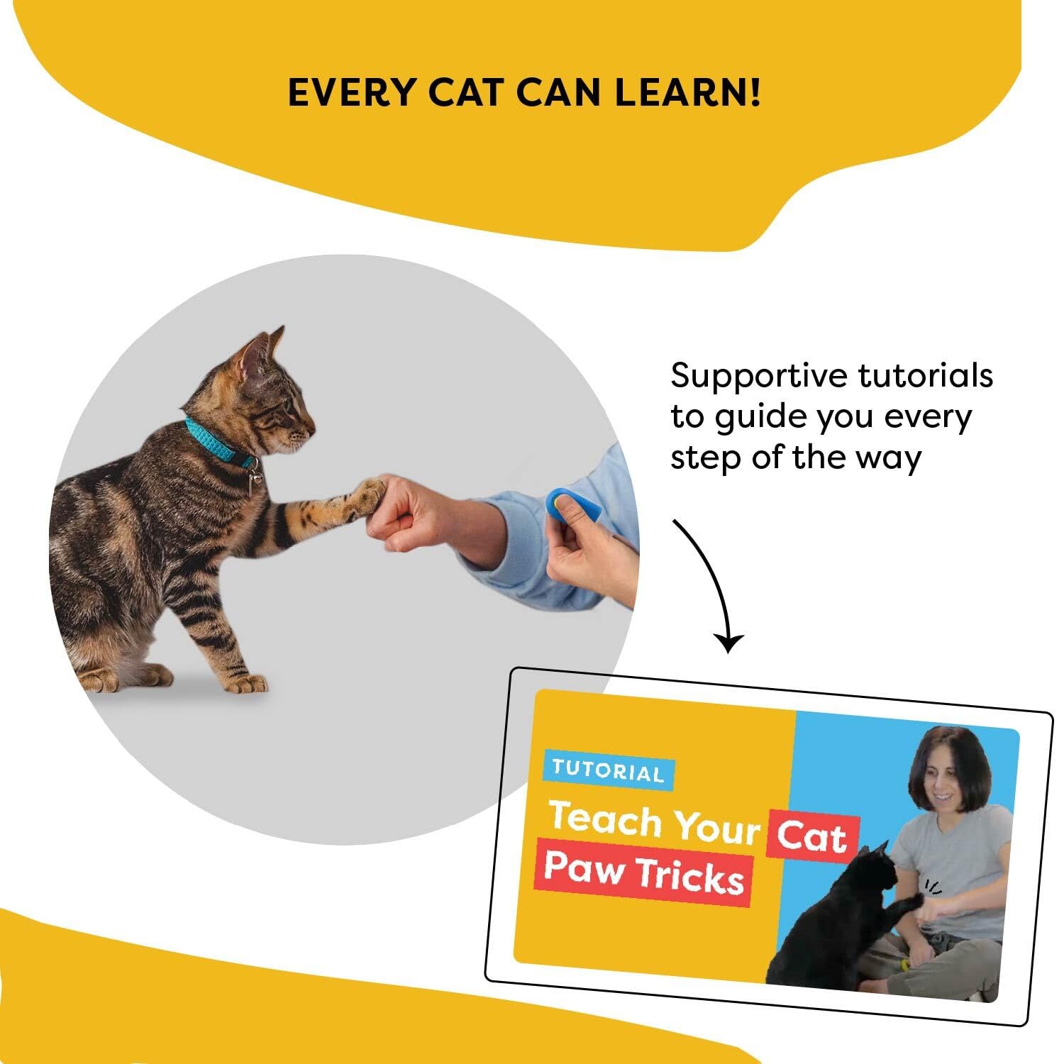 CAT SCHOOL tutoriales en video para aprender de un experto en comportamiento felino