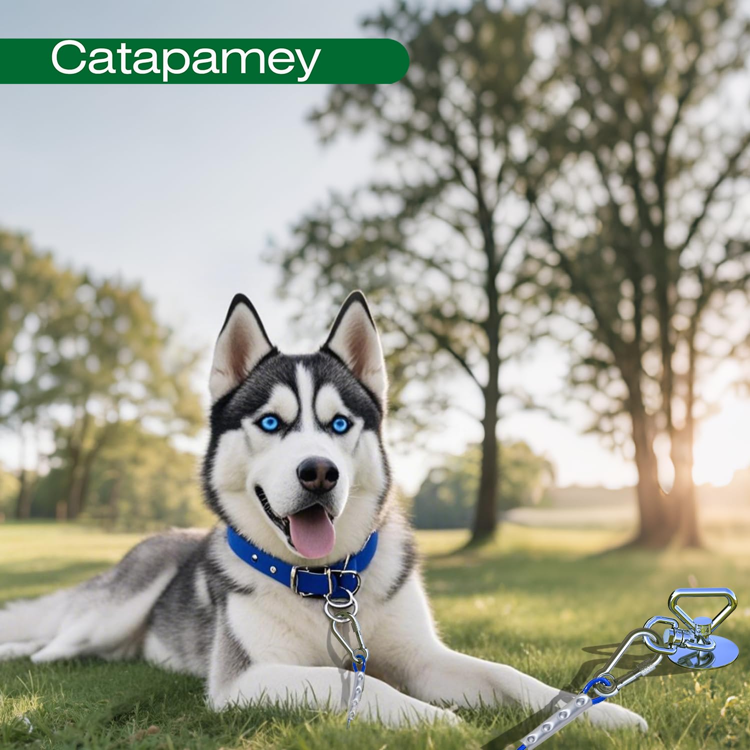 Accesorios portables para camping canino con Catapamey.