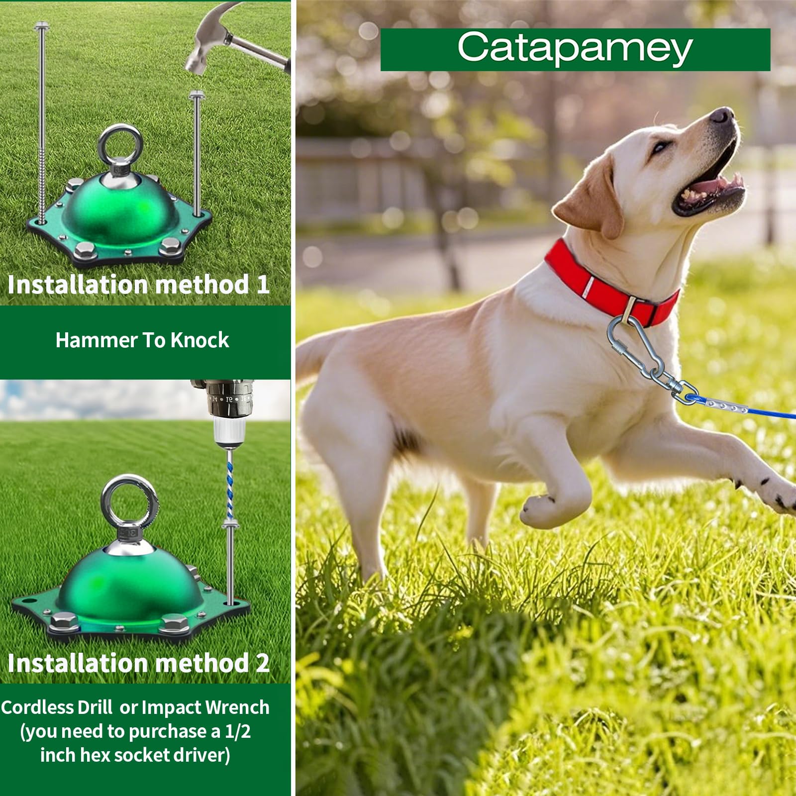 Catapamey: base giratoria 360° que evita enredos durante el juego.