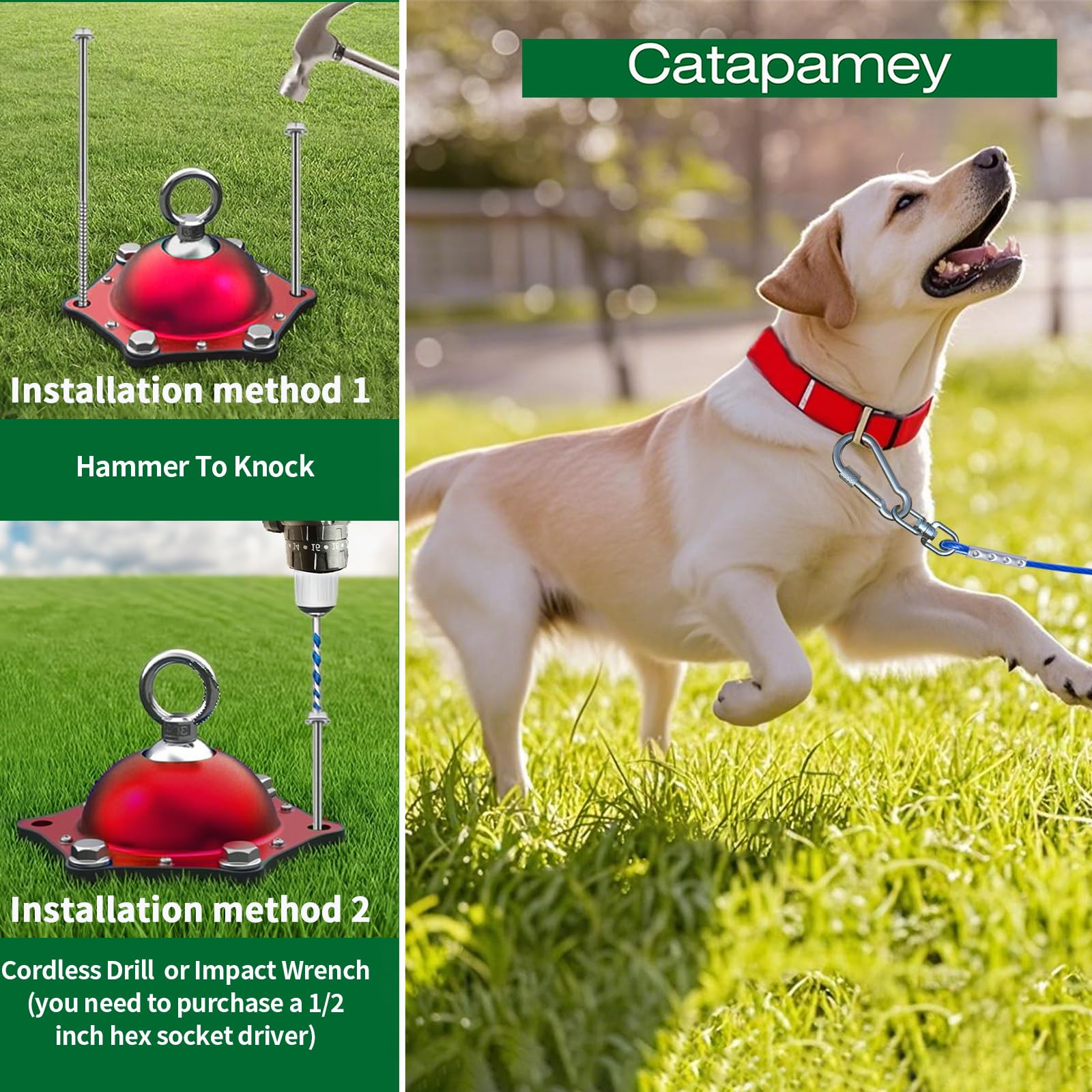 Catapamey carabiner de cierre, evita escapes accidentales