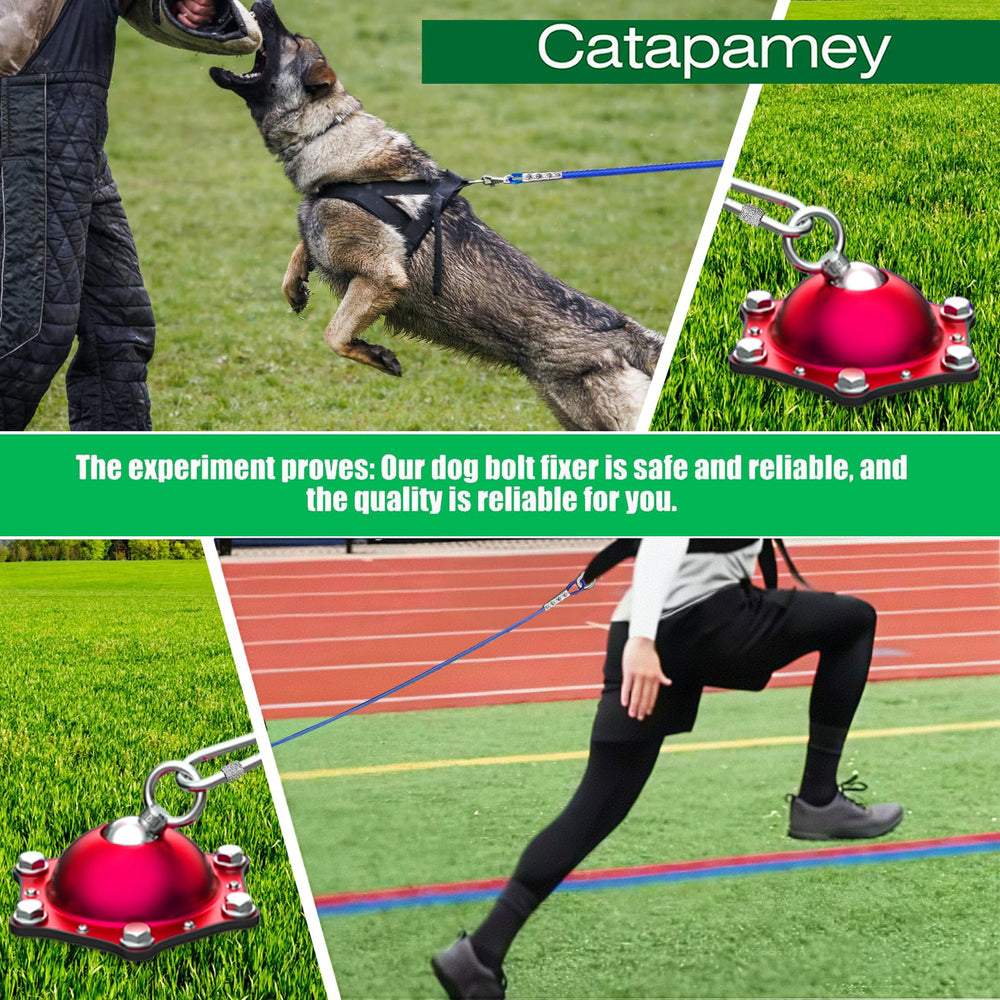 catapamey uso exterior camping practico para mascotas al aire libre