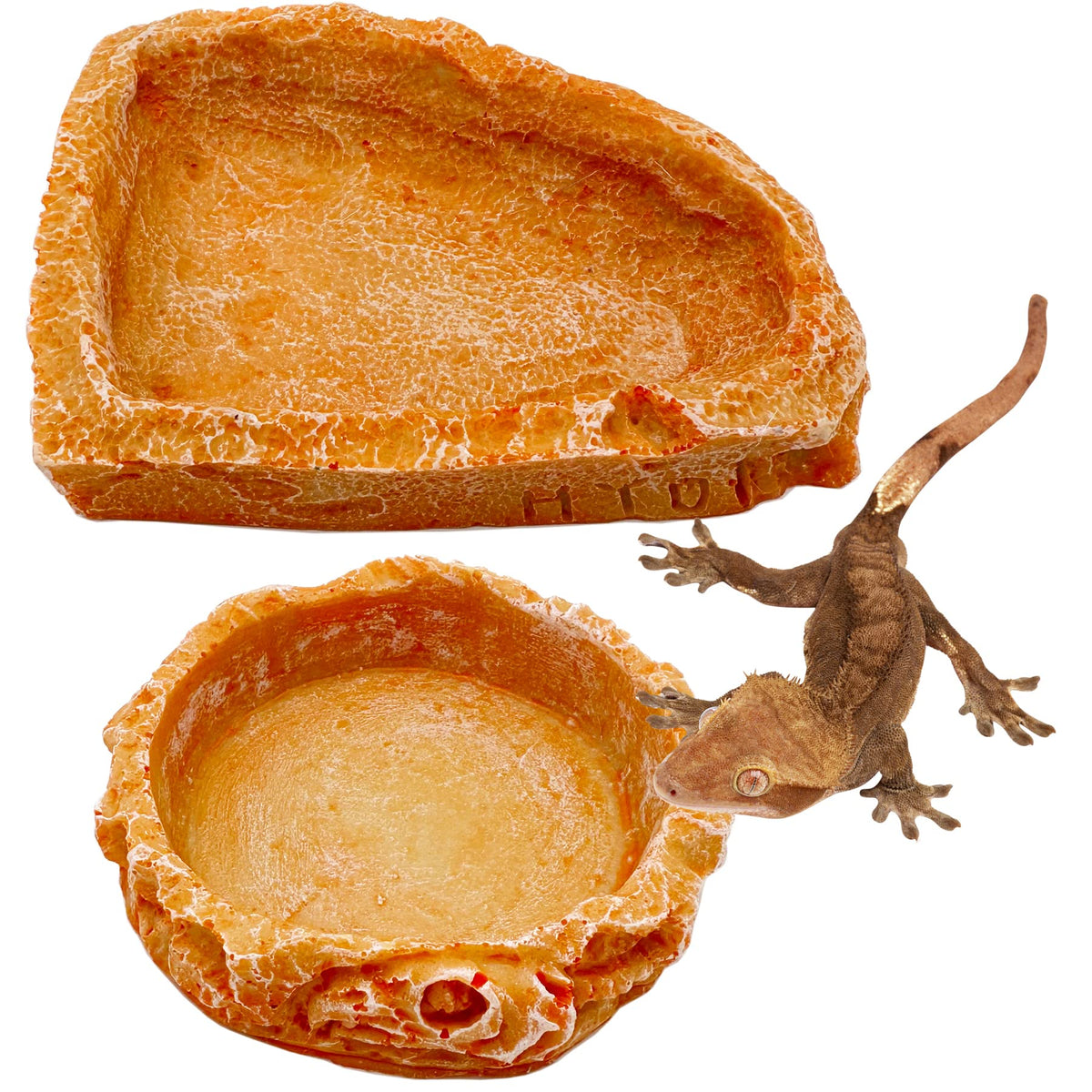 CATENEED cuenco para reptiles con textura de roca, vista frontal