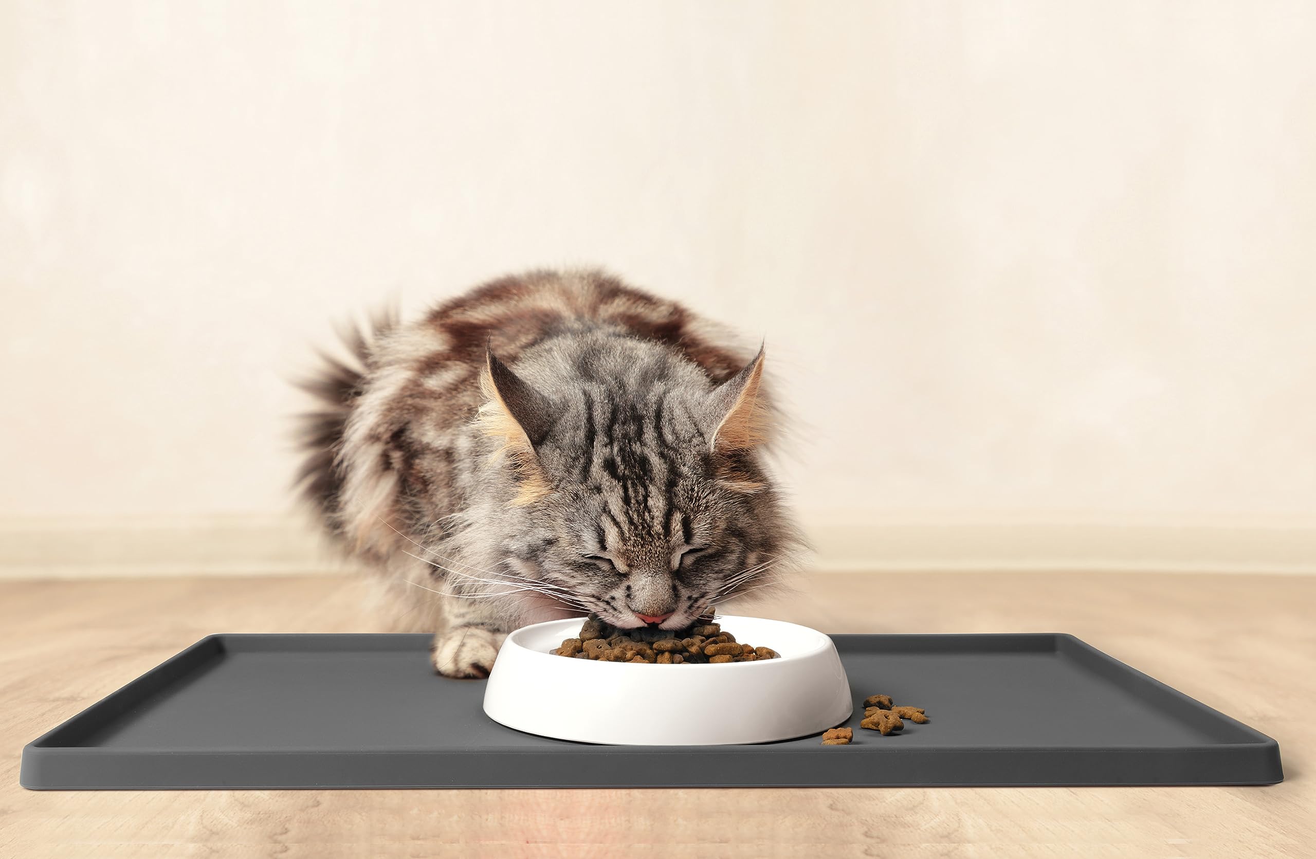 CatGuru alfombrilla borde alto previene derrames durante la comida.