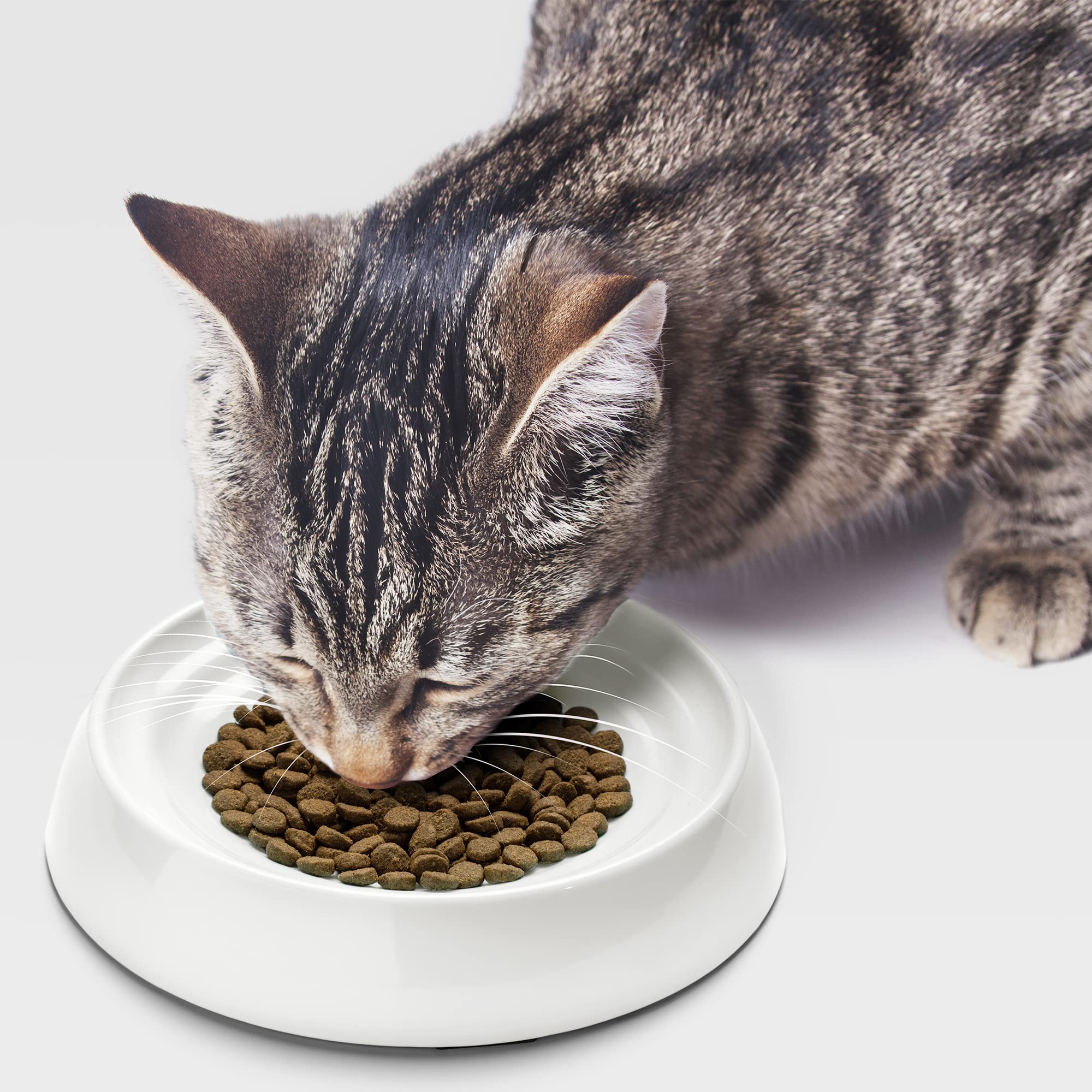 CatGuru comedero gatos lavable: apto para lavado a mano o en lavavajillas