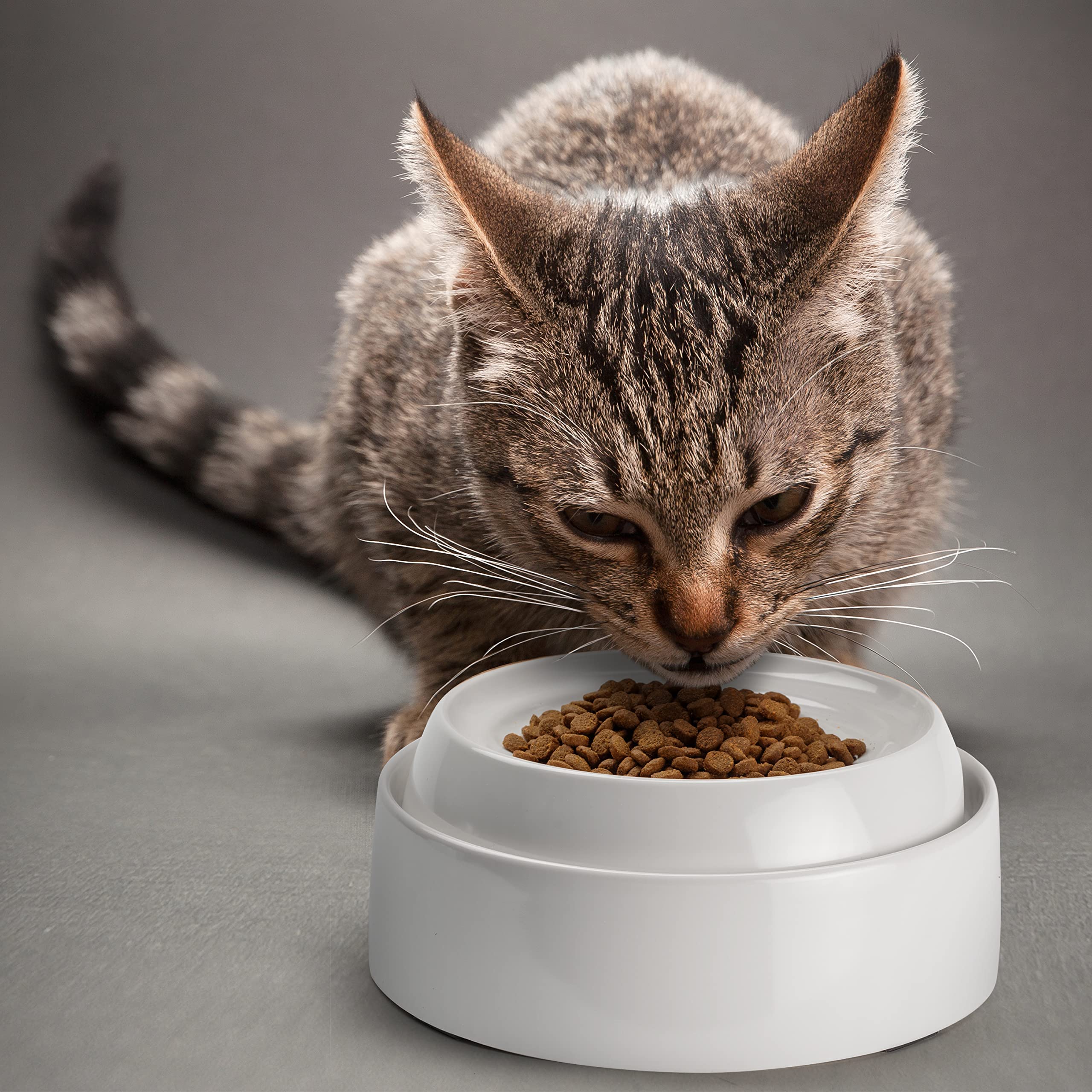 CatGuru comedero melamina sin bisfenol A: duradero y apto para uso diario