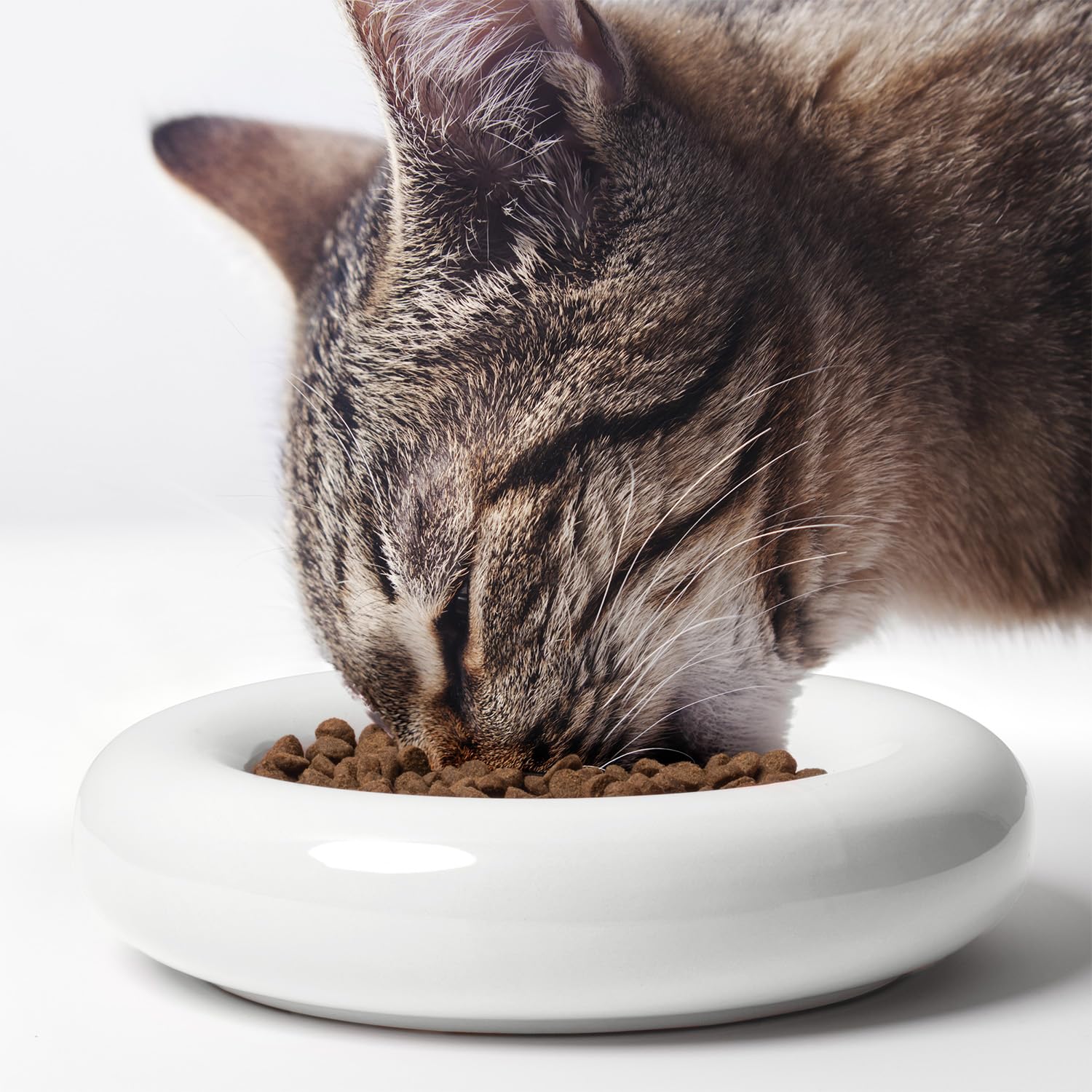 CatGuru cuenco bigotes Torus, diseño poco profundo para comodidad facial de gatos.