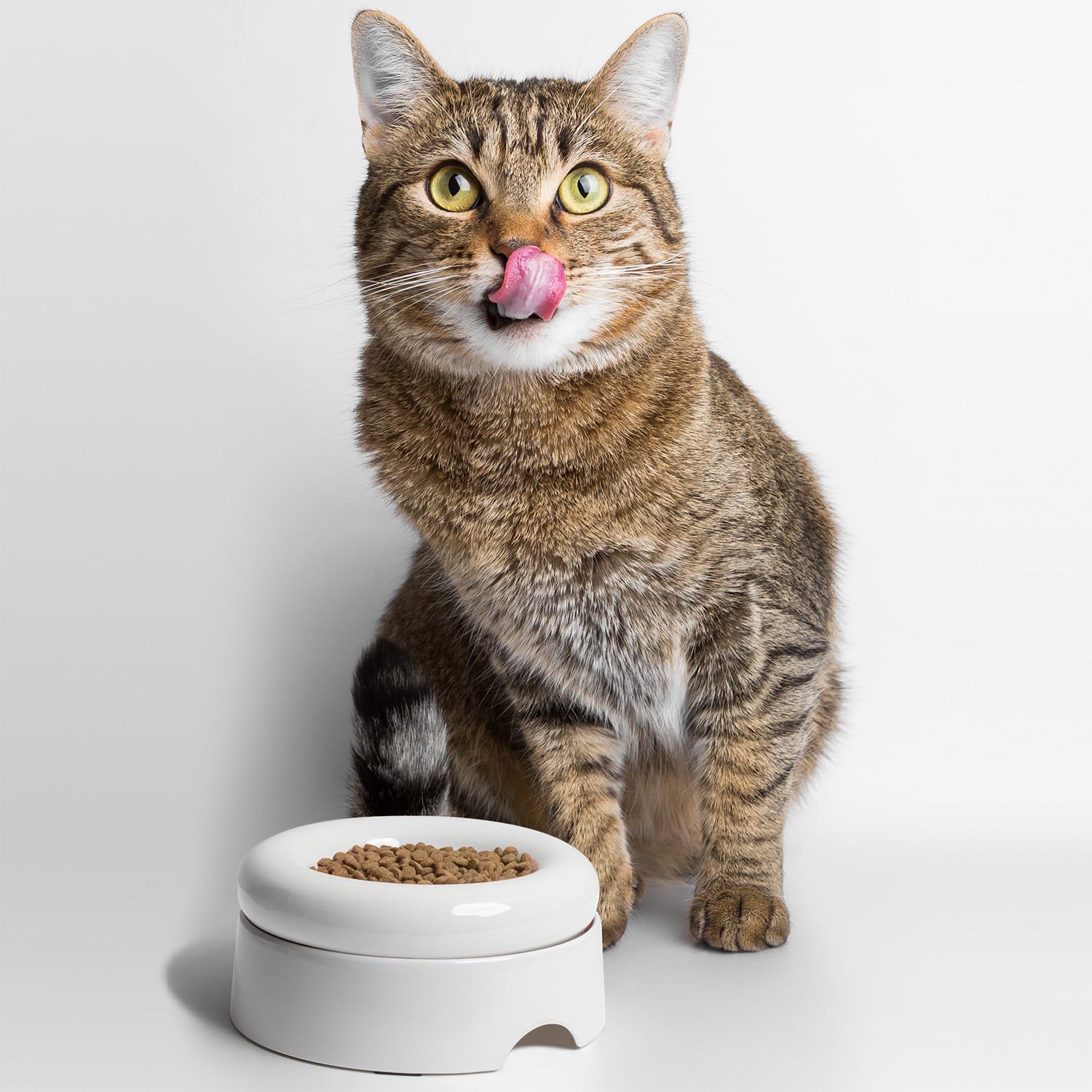 CatGuru cuenco ligero con base antideslizante, para mayor estabilidad durante las comidas.